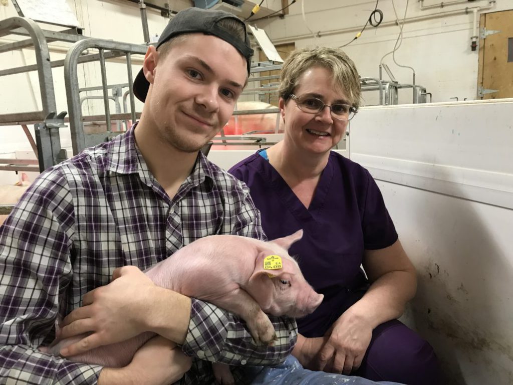 40 miljoen varkens in Pigbase, de fokkerijdatabase van Topigs Norsvin