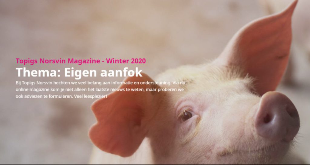 Topigs Norsvin Magazine – winter 2020